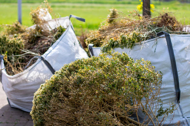 Best Local Junk Hauling  in Jesup, IA